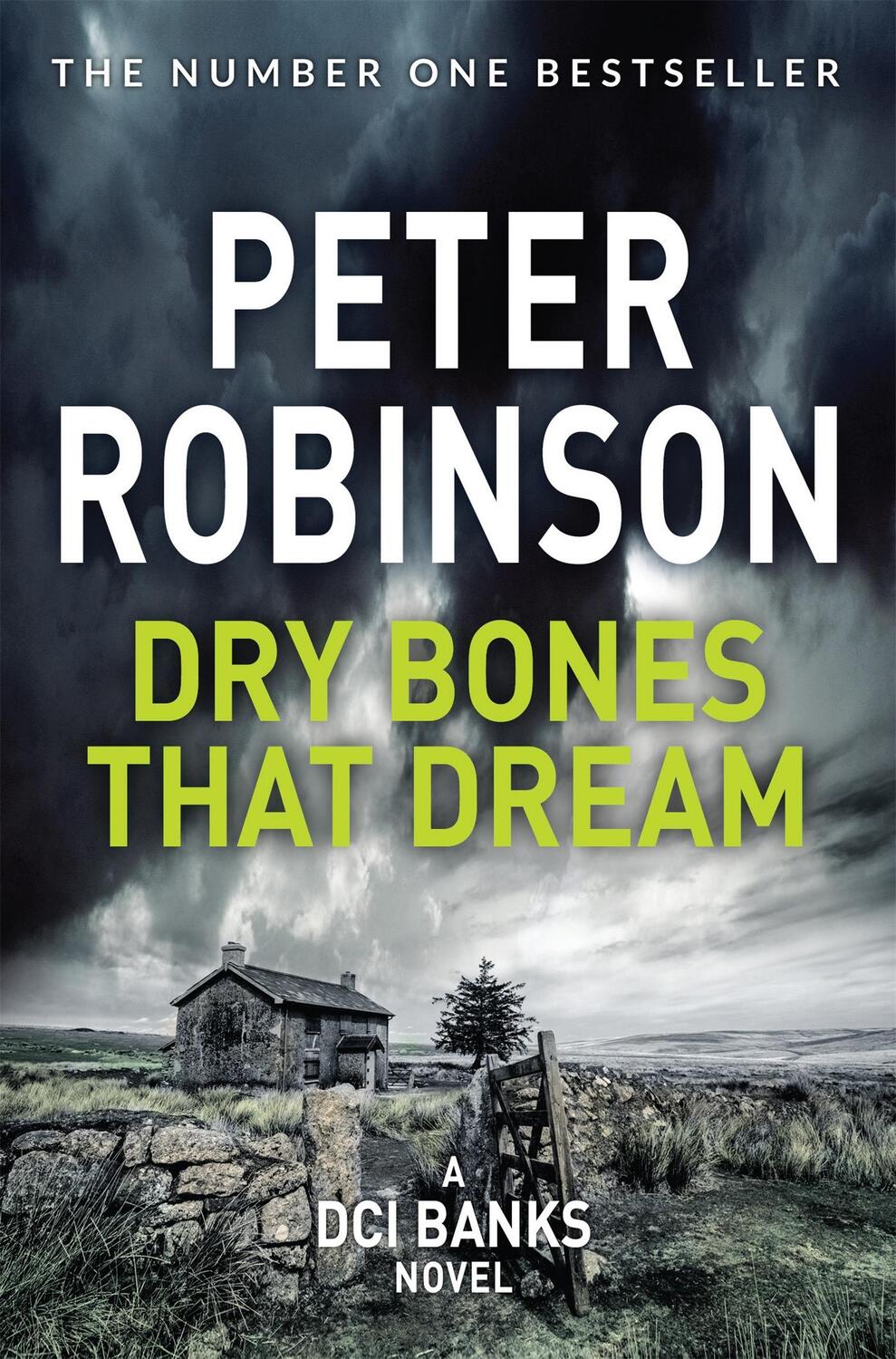 Cover: 9781509859115 | Dry Bones That Dream | Peter Robinson | Taschenbuch | Englisch | 2019