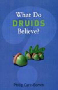Cover: 9781862078642 | What Do Druids Believe? | Philip Carr-Gomm | Taschenbuch | Englisch
