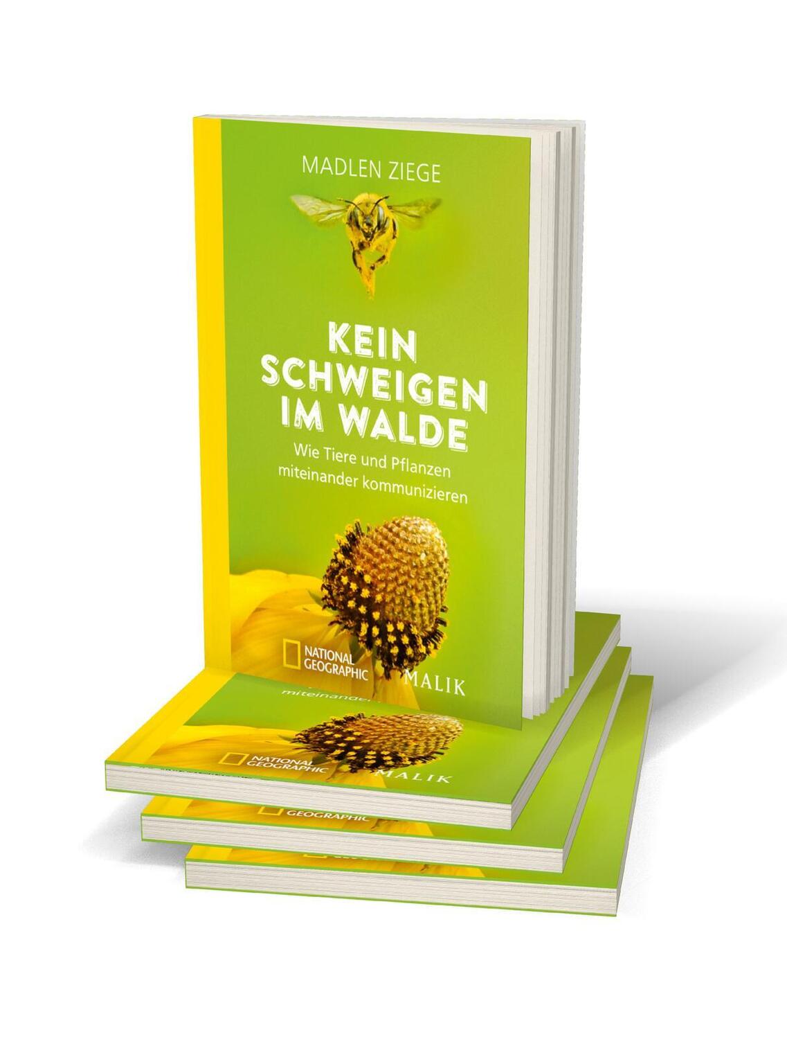 Bild: 9783492406482 | Kein Schweigen im Walde | Madlen Ziege | Taschenbuch | Deutsch | 2021