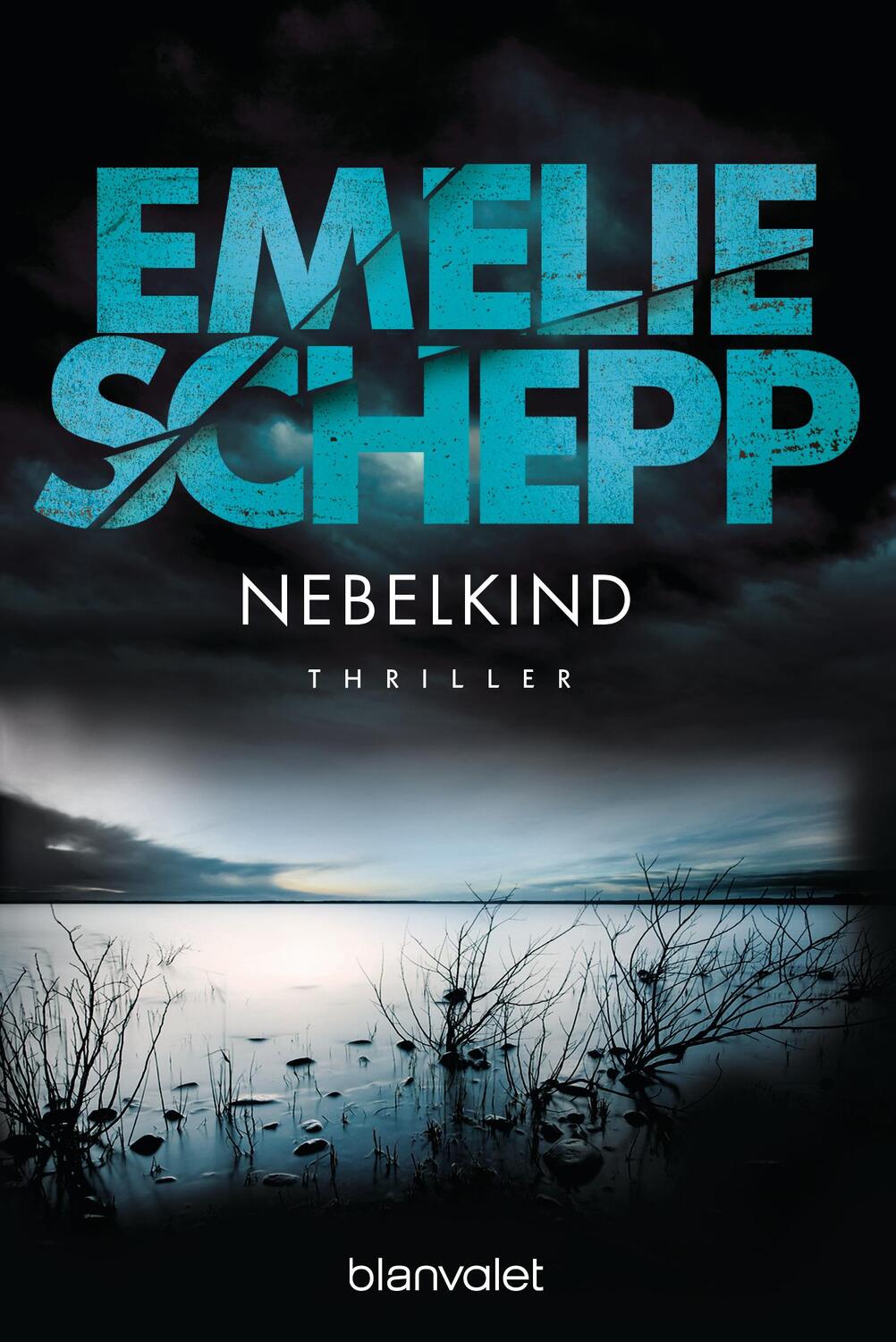 Cover: 9783734100697 | Nebelkind | Emelie Schepp | Taschenbuch | Blanvalet Taschenbücher