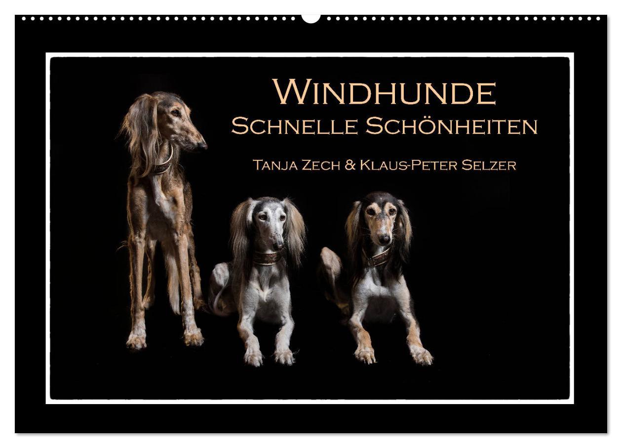 Cover: 9783435176809 | Windhunde - Schnelle Schönheiten (Wandkalender 2025 DIN A2 quer),...