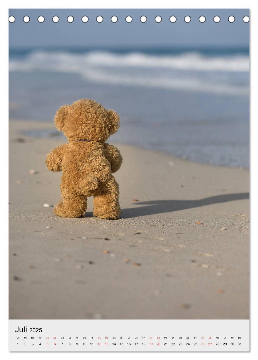 Bild: 9783435934119 | Travelling Teddy auf Welt-Tour (Tischkalender 2025 DIN A5 hoch),...