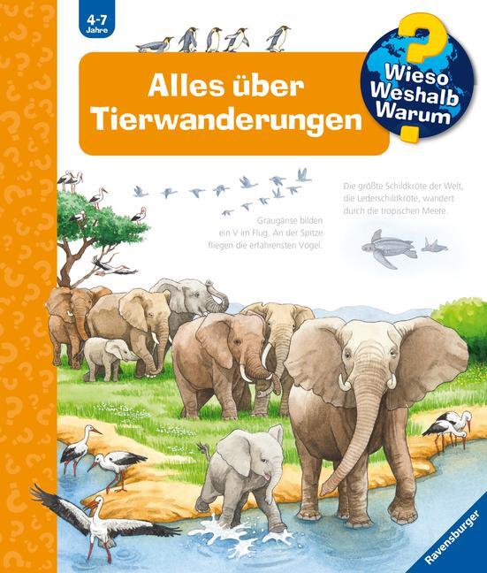 Cover: 9783473600199 | Wieso? Weshalb? Warum?, Band 37: Alles über Tierwanderungen | Pätz