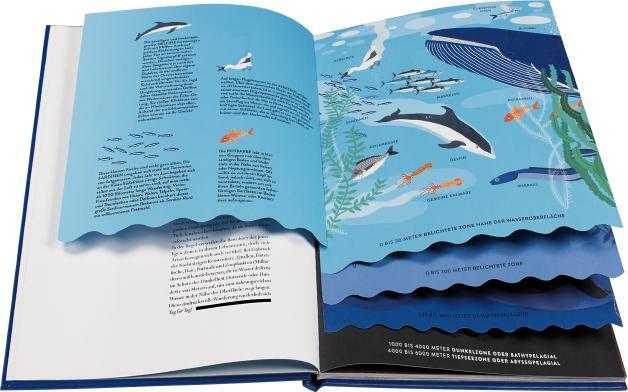 Bild: 9783836960120 | Ozeane | Die wunderbare Welt der Meere | Hélène Druvert | Buch | 40 S.