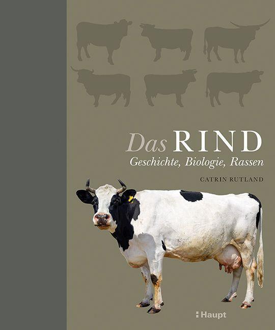 Cover: 9783258082325 | Das Rind | Geschichte, Biologie, Rassen | Catrin Rutland | Buch | 2022
