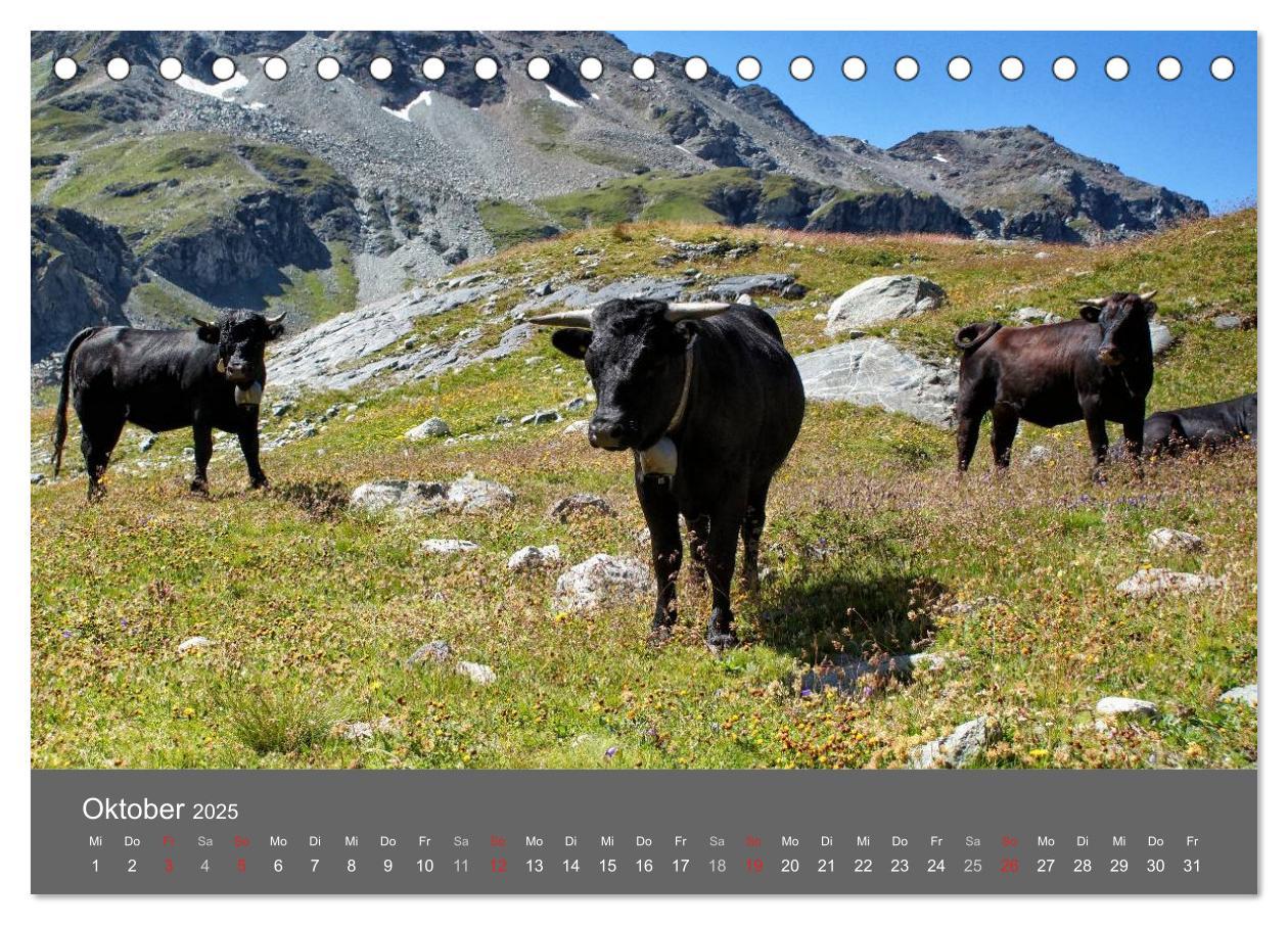 Bild: 9783435611119 | Wallis. Perle der Schweiz (Tischkalender 2025 DIN A5 quer),...