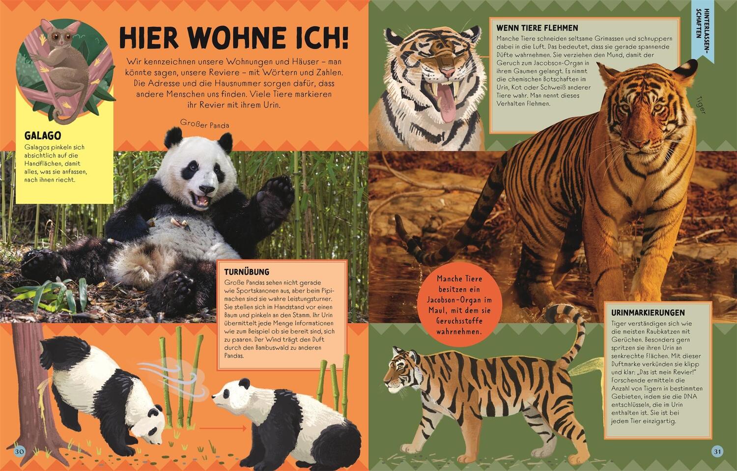 Bild: 9783831048410 | Die Sprache der Tiere | Michael Leach (u. a.) | Buch | 80 S. | Deutsch