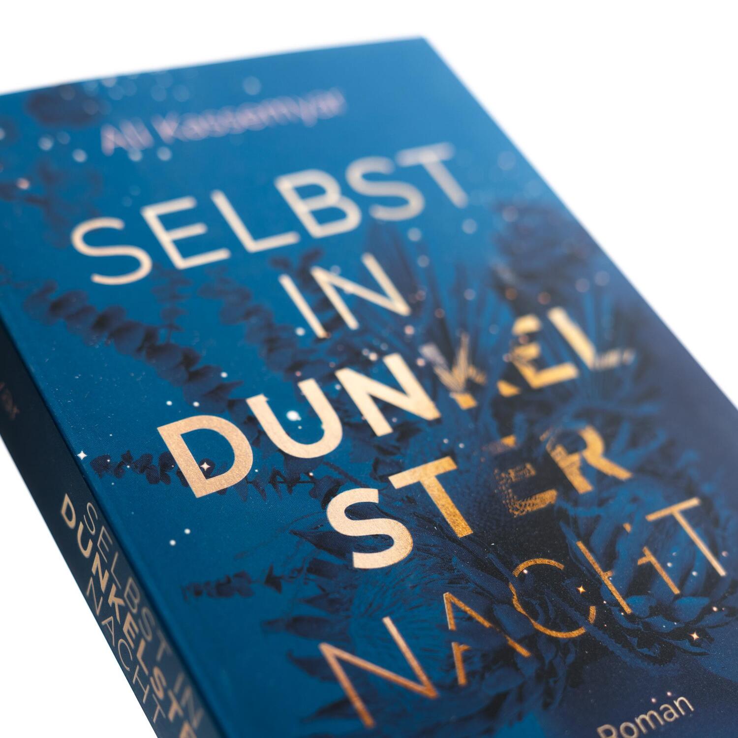 Bild: 9783745704105 | Selbst in dunkelster Nacht | Roman | Ali Kassemyar | Taschenbuch