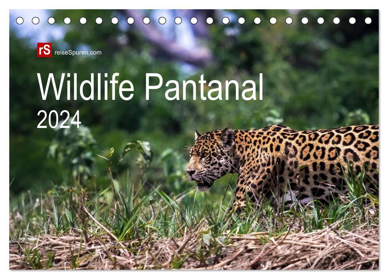Cover: 9783383470073 | Wildlife Pantanal 2024 (Tischkalender 2024 DIN A5 quer), CALVENDO...