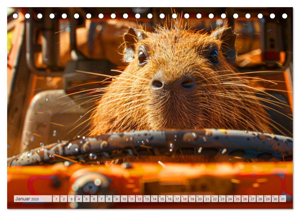 Bild: 9783457163993 | Capybaras im Alltag - Ein Jahr voller Abenteuer (Tischkalender 2025...