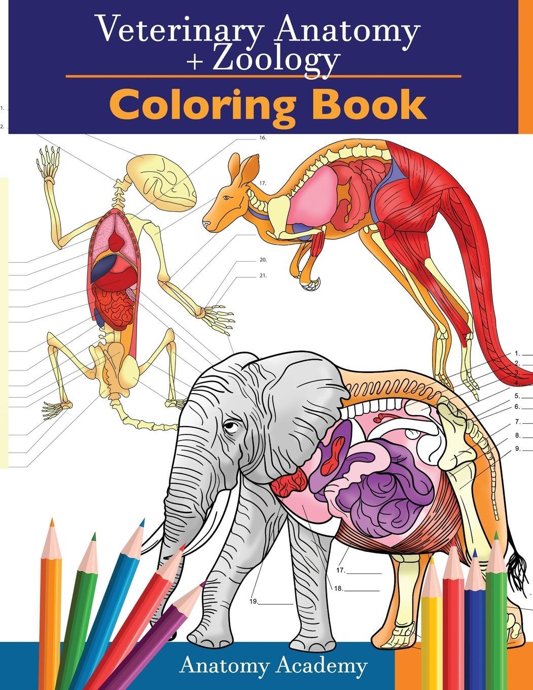 Cover: 9781914207105 | Veterinary &amp; Zoology Coloring Book | Anatomy Academy | Taschenbuch