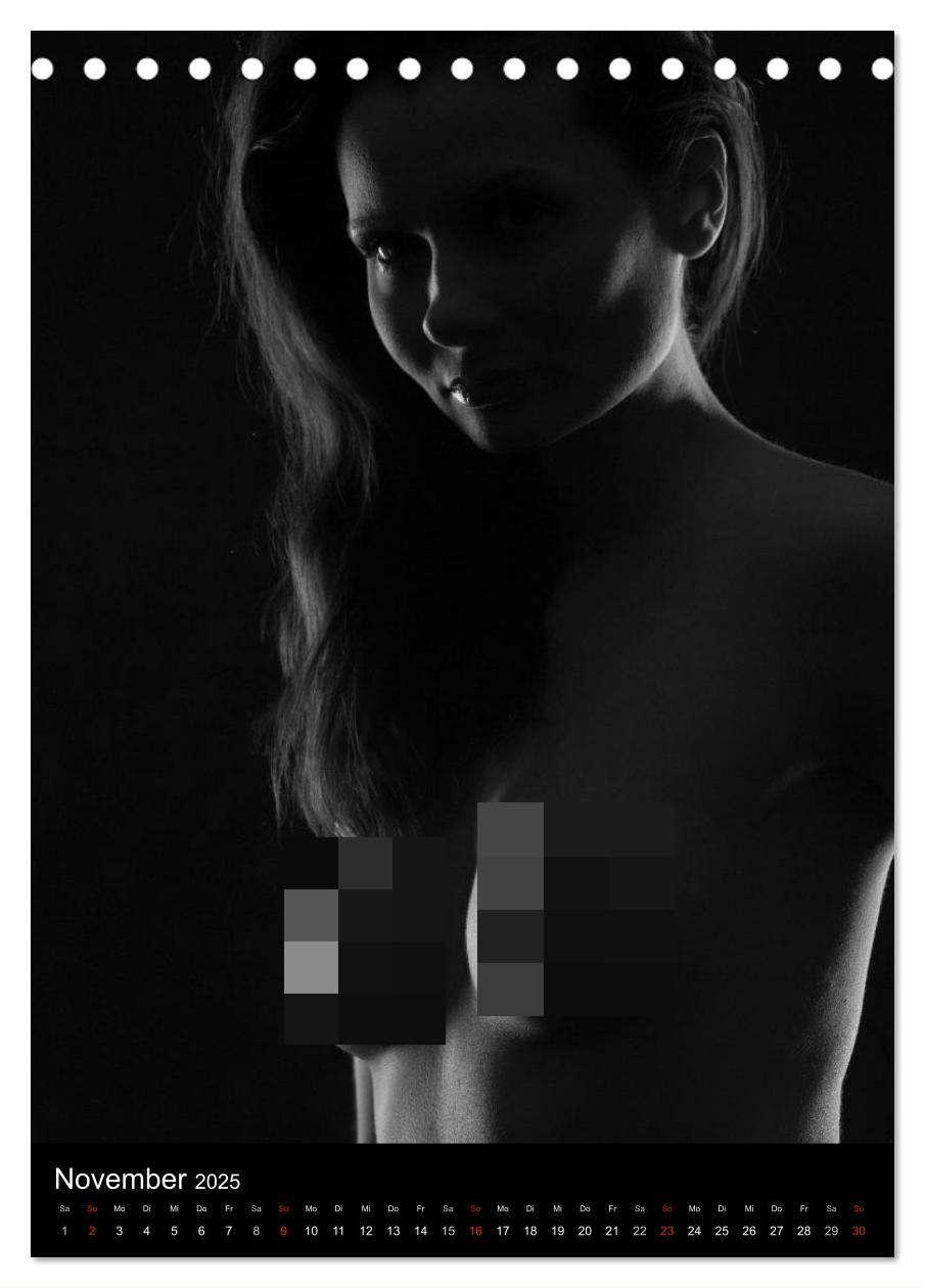 Bild: 9783457079911 | Erotische Silhouetten / CH-Version (Tischkalender 2025 DIN A5...