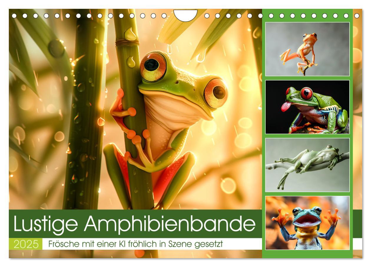 Cover: 9783383833182 | Lustige Amphibienbande (Wandkalender 2025 DIN A4 quer), CALVENDO...