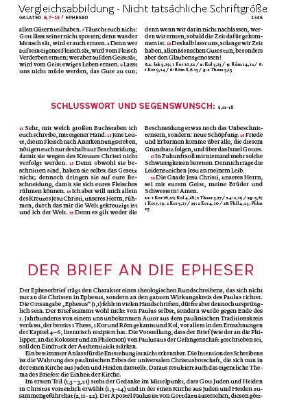 Bild: 9783460440135 | Die Bibel. Mit Sonderseiten für junge Menschen. | Agnes Wuckelt | Buch