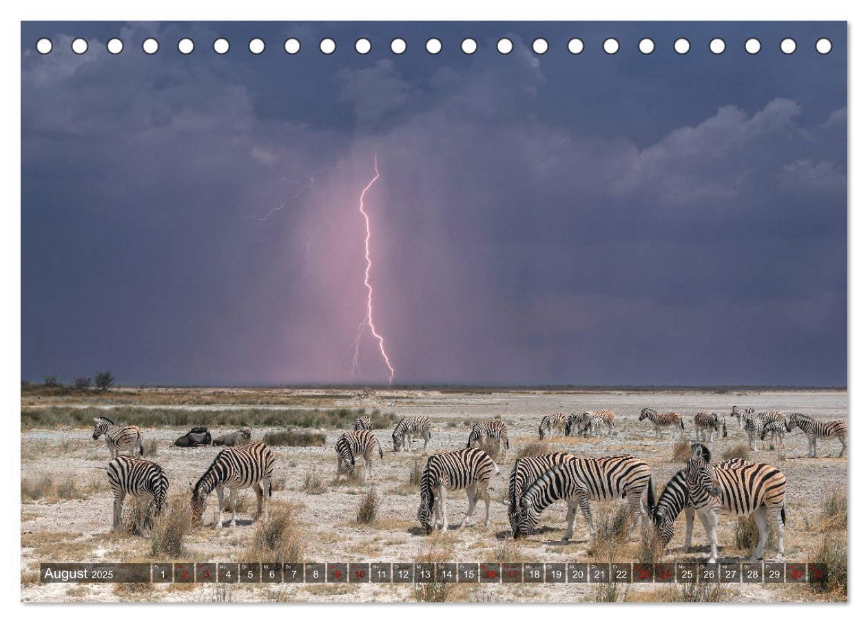 Bild: 9783435118427 | Afrikas Tierwelt, Safari im südlichen Afrika (Tischkalender 2025...