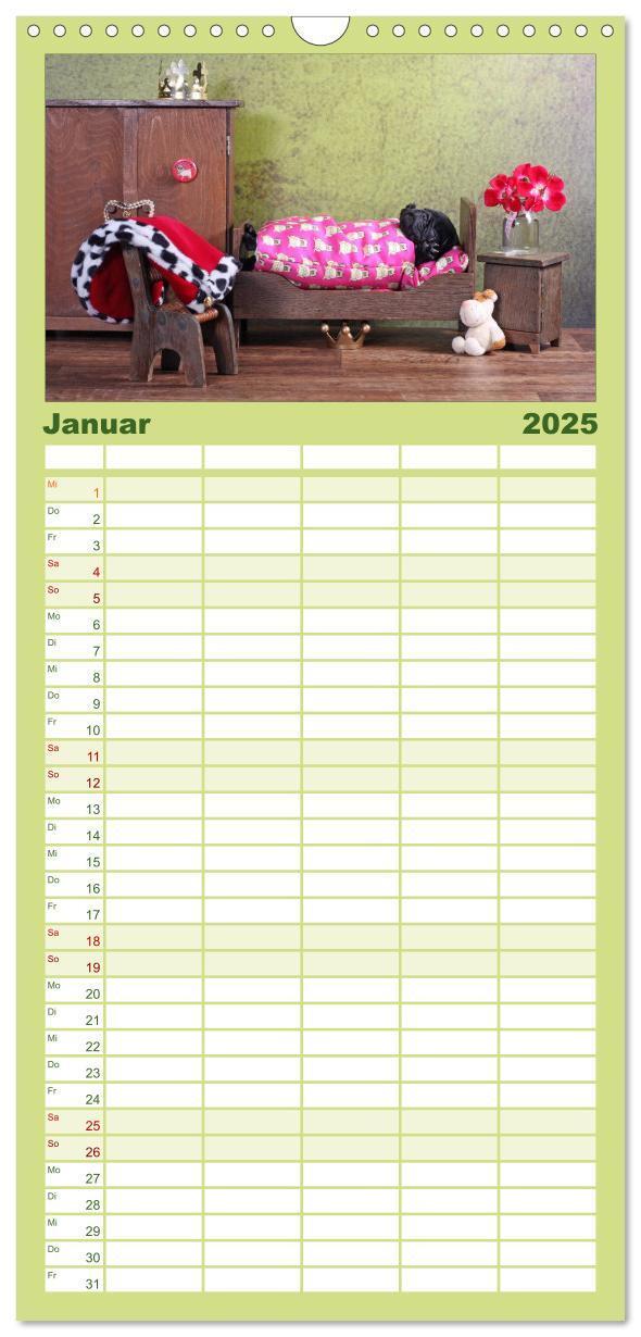 Bild: 9783457119709 | Familienplaner 2025 - Der MOPS-Kalender mit 5 Spalten...