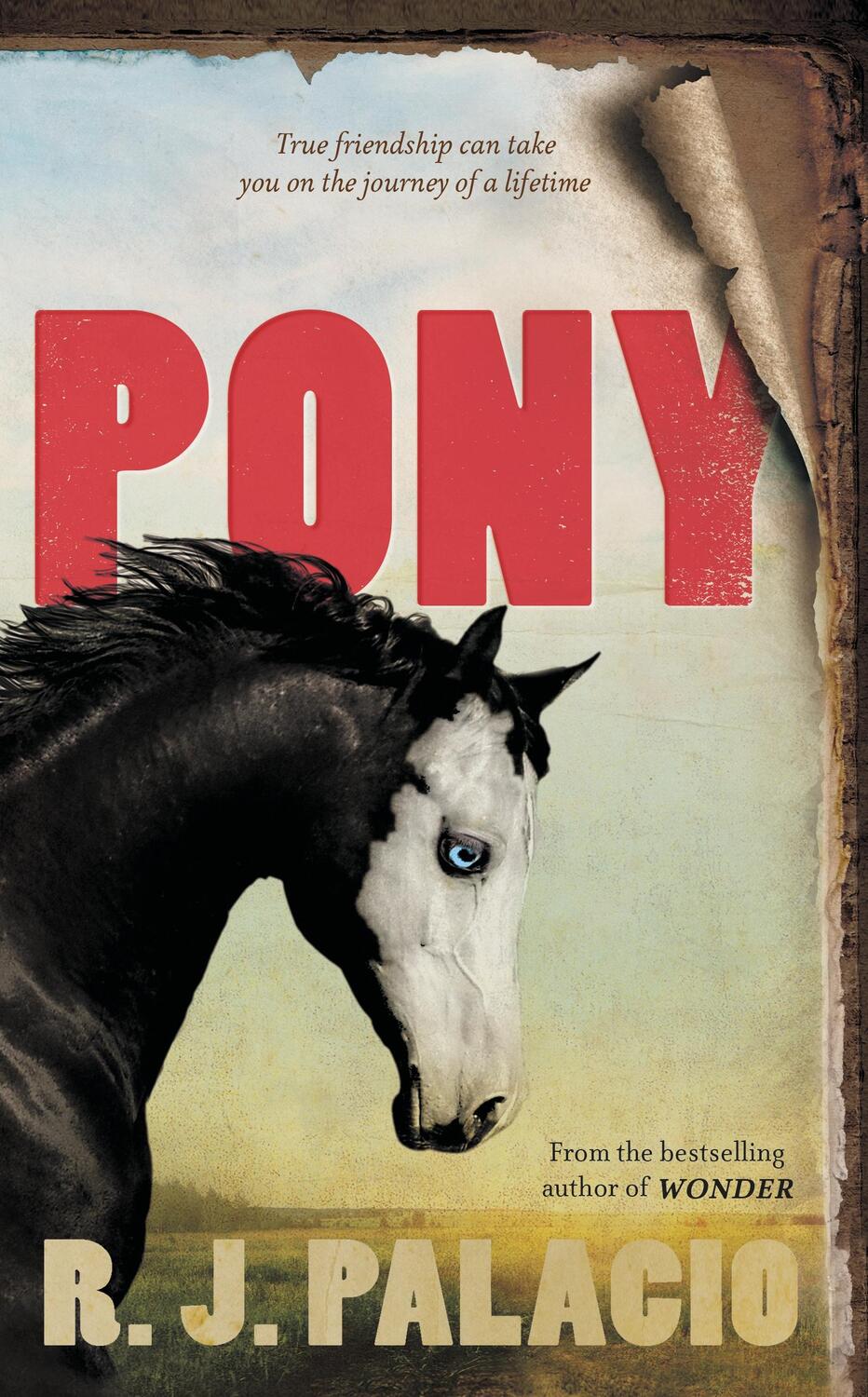 Cover: 9780141377056 | Pony | from the bestselling author of Wonder | R. J. Palacio | Buch