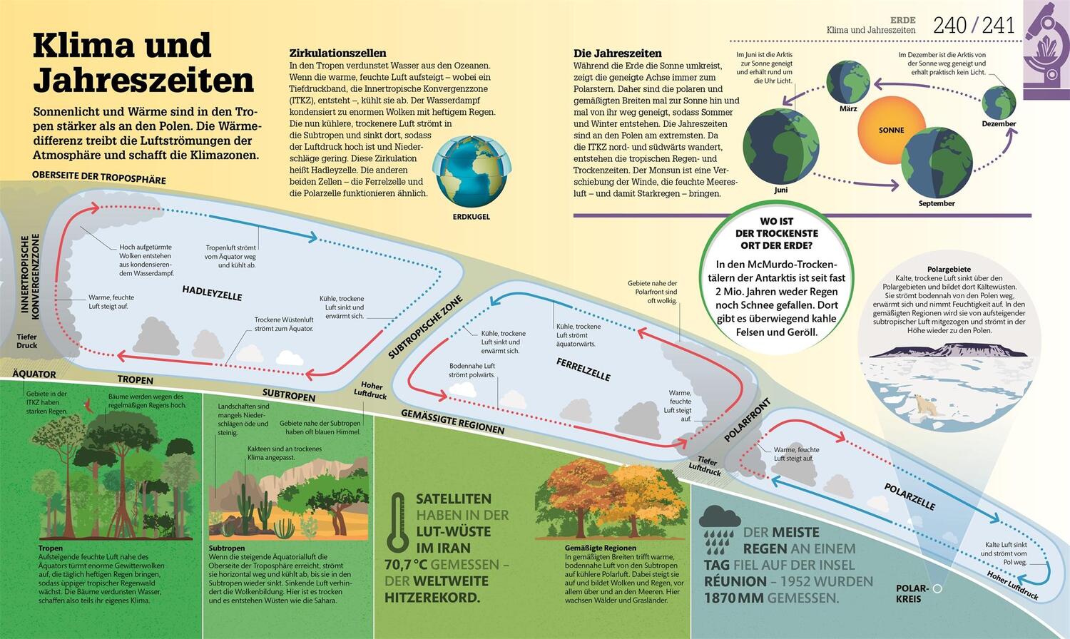 Bild: 9783831035397 | #dkinfografik. Naturwissenschaften | Derek Harvey (u. a.) | Buch