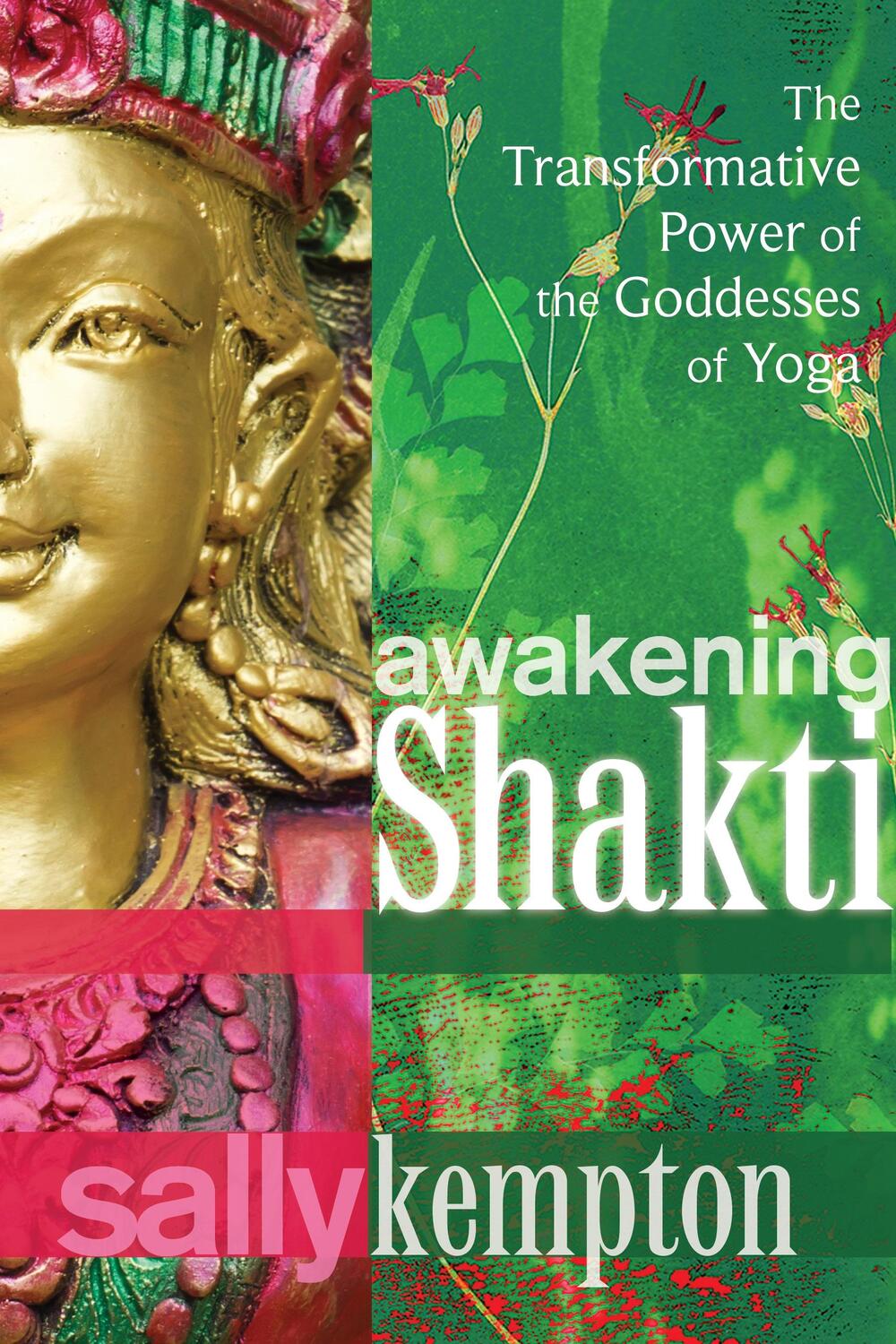 Cover: 9781604078916 | Awakening Shakti | The Transformative Power of the Goddesses of Yoga