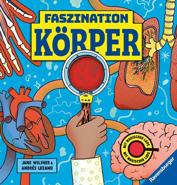 Cover: 9783473480739 | Faszination Köper - Körpersachbuch für Kinder ab 7 Jahren mit...