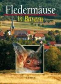 Cover: 9783800138845 | Fledermäuse in Bayern | Katrin Kleinschrot | Buch | Deutsch | 2004