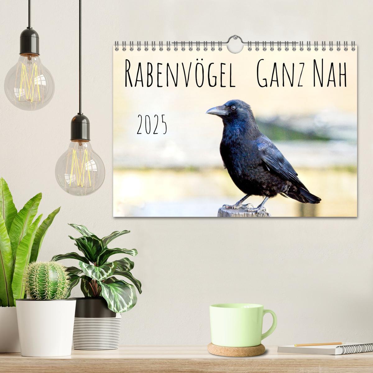 Bild: 9783383927751 | Rabenvögel - ganz nah (Wandkalender 2025 DIN A4 quer), CALVENDO...