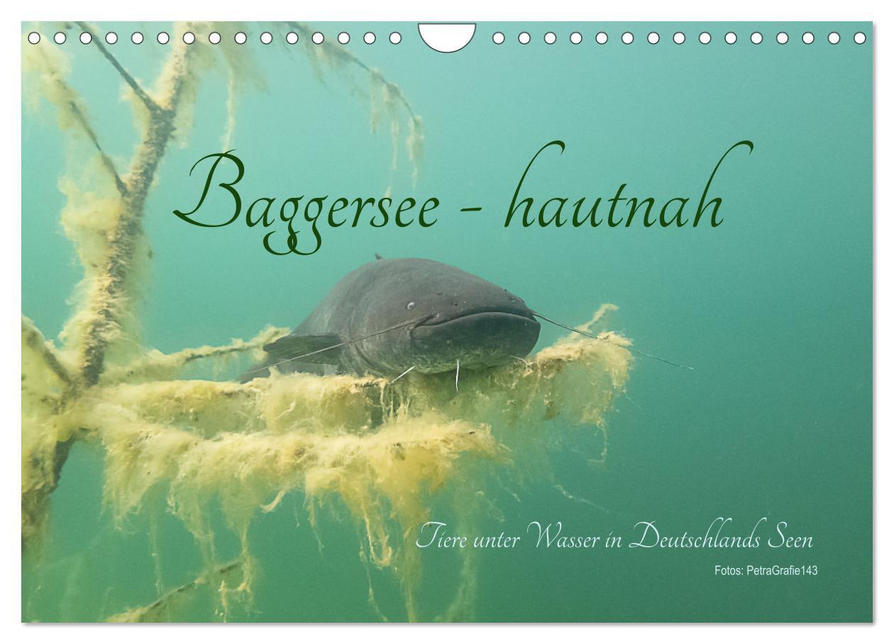 Cover: 9783435086238 | Baggersee -hautah (Wandkalender 2025 DIN A4 quer), CALVENDO...