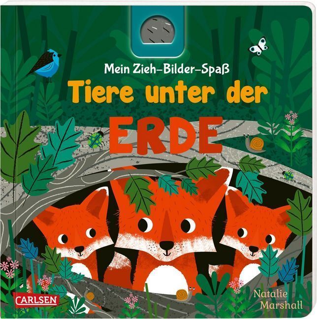 Cover: 9783551172372 | Mein Zieh-Bilder-Spaß: Tiere unter der Erde | Julia Hofmann | Buch