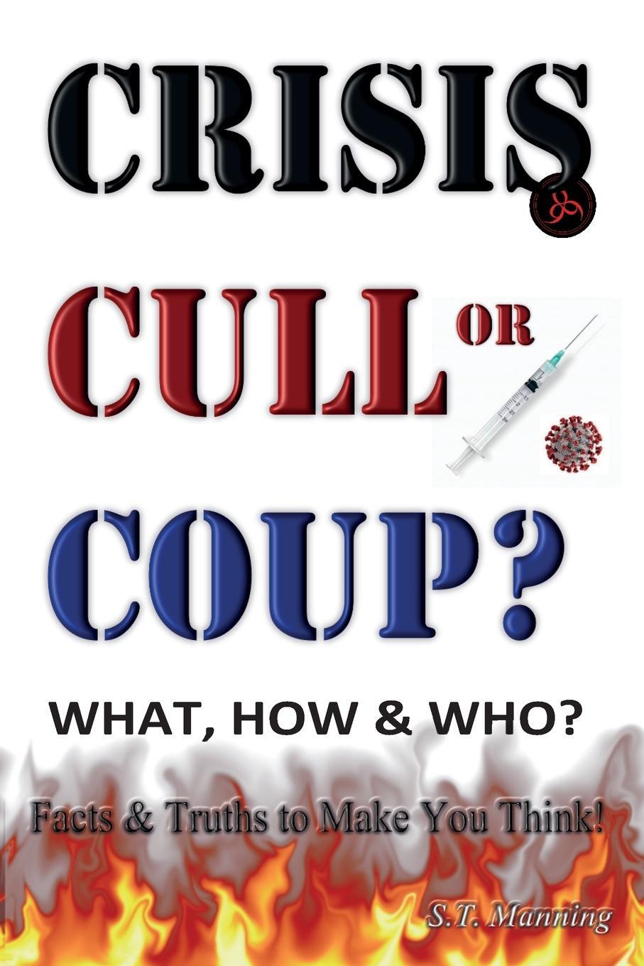 Cover: 9781906628772 | CRISIS, CULL or COUP? WHAT, HOW and WHO? Facts and Truths to Make...