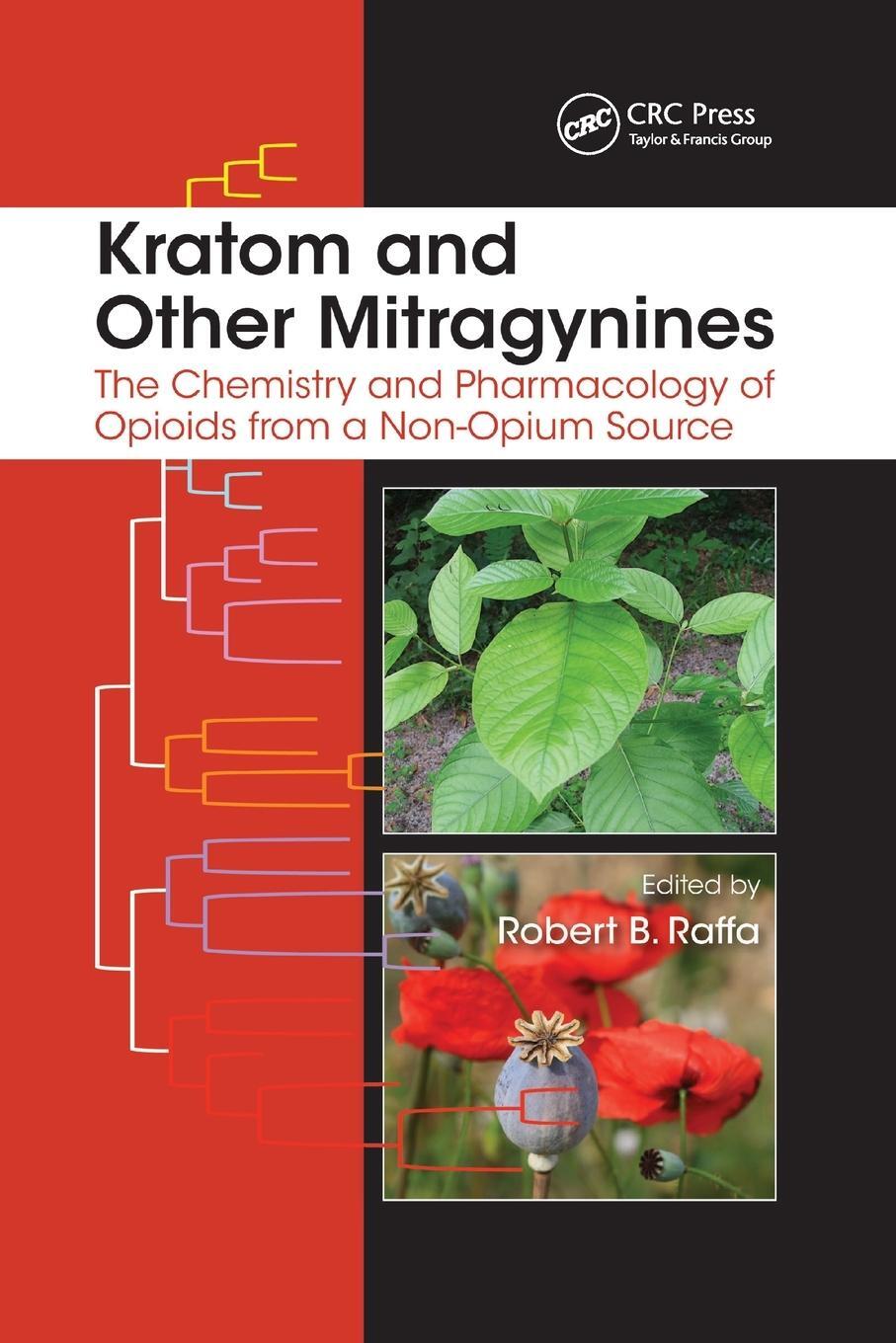 Cover: 9780367869243 | Kratom and Other Mitragynines | Robert B. Raffa | Taschenbuch | 2019