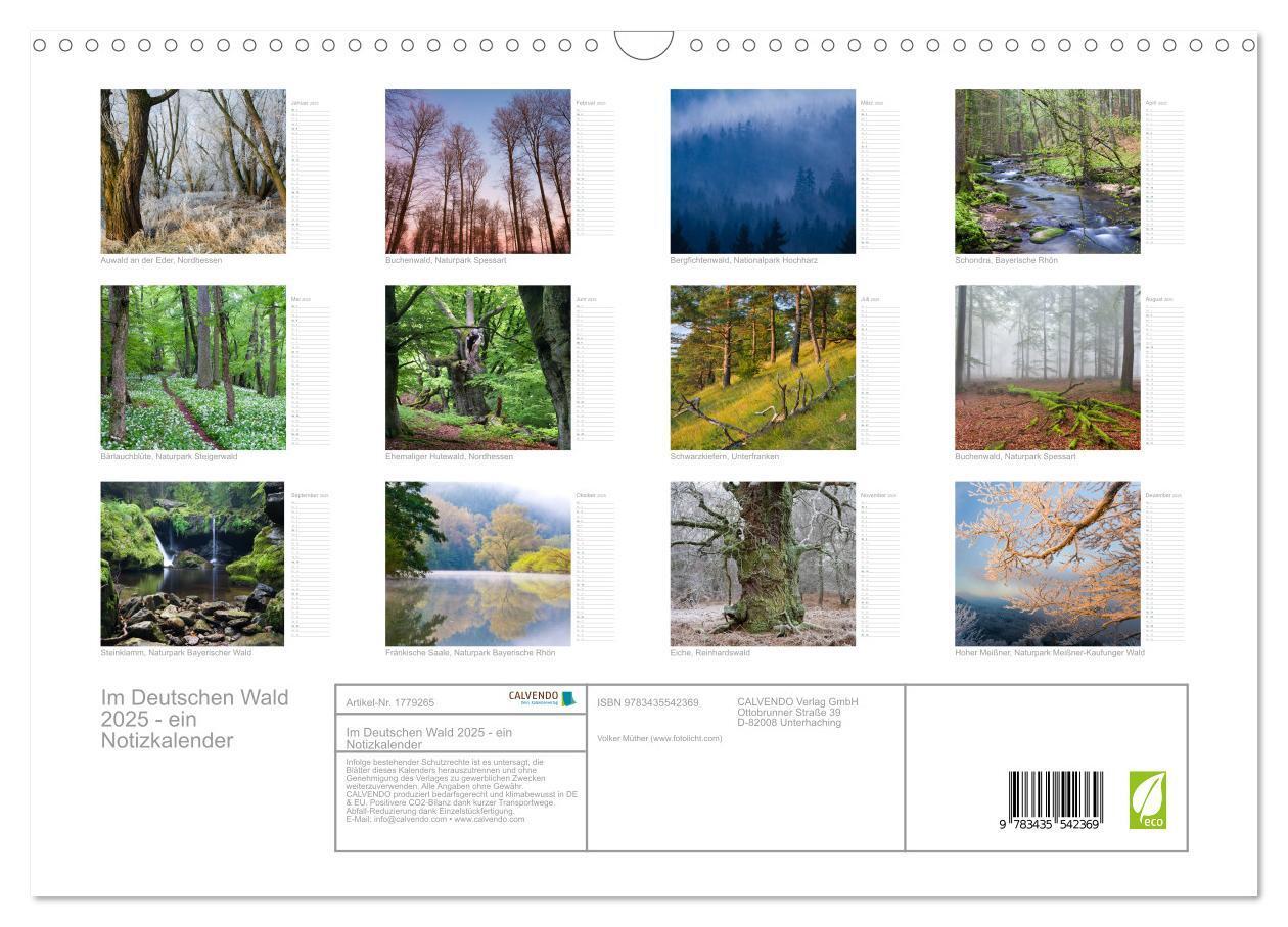 Bild: 9783435542369 | Im Deutschen Wald 2025 - ein Notizkalender (Wandkalender 2025 DIN...