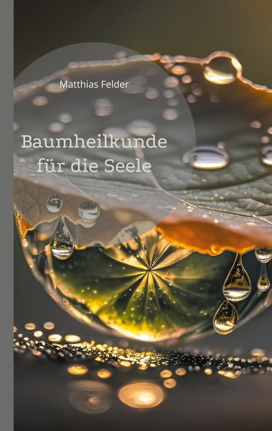 Cover: 9783757861148 | Baumheilkunde für die Seele | Matthias Felder | Taschenbuch | 96 S.