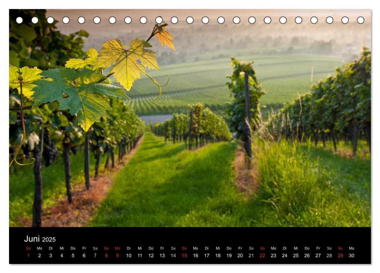 Bild: 9783435718405 | Weinberge im Remstal (Tischkalender 2025 DIN A5 quer), CALVENDO...