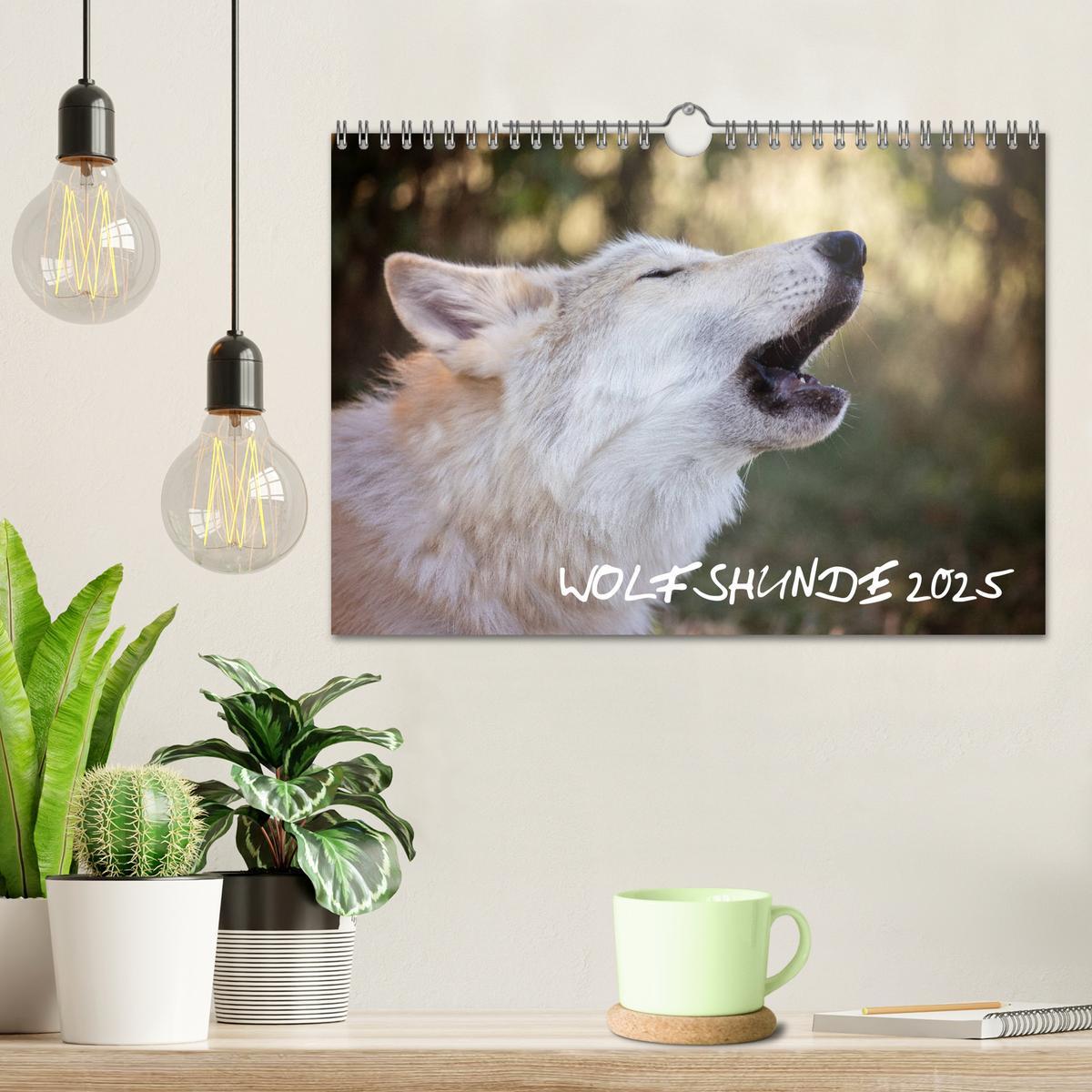 Bild: 9783435422081 | Wolfshunde 2025 (Wandkalender 2025 DIN A4 quer), CALVENDO...