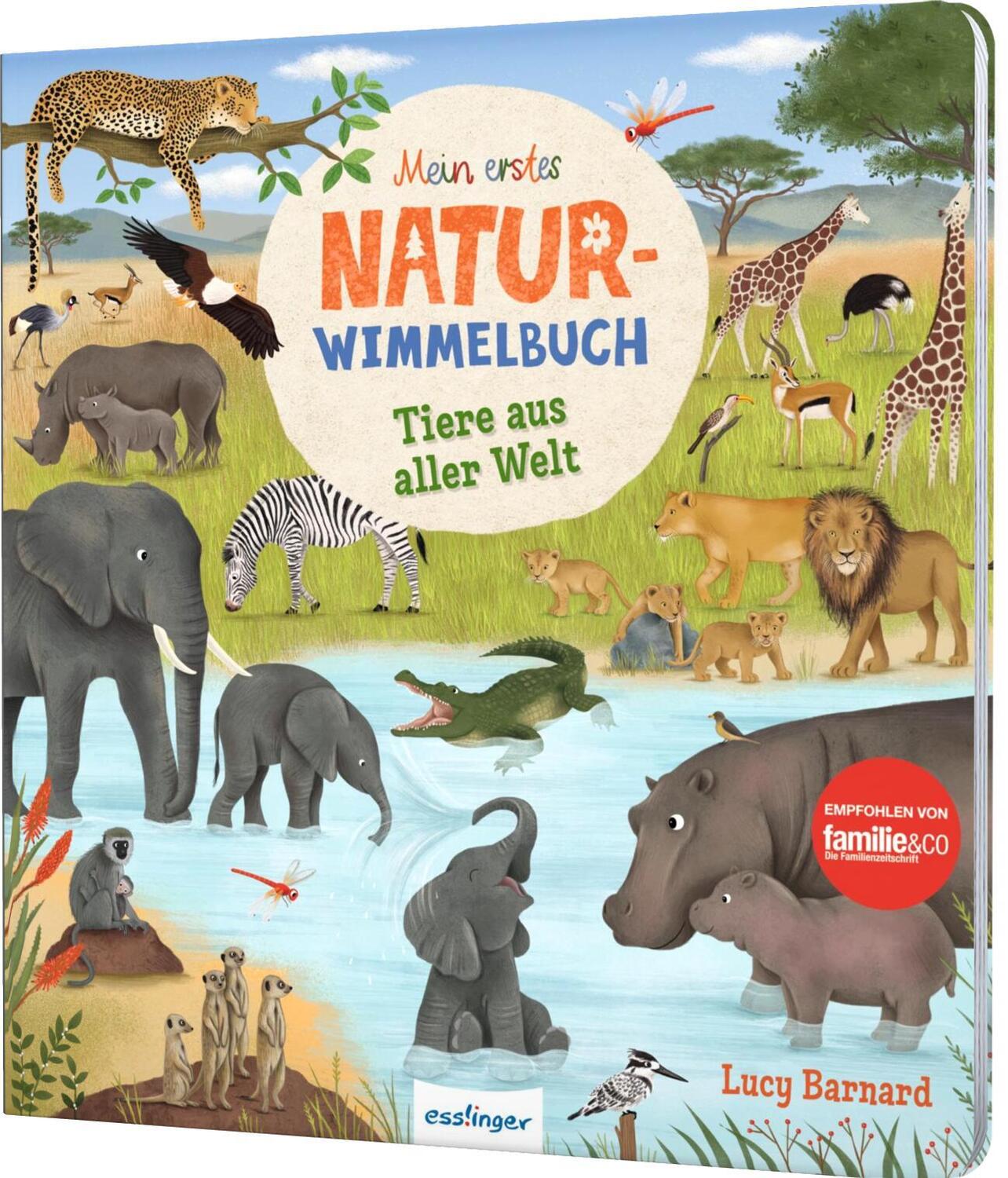 Cover: 9783480237975 | Mein erstes Natur-Wimmelbuch: Tiere aus aller Welt | Katharina Lotz