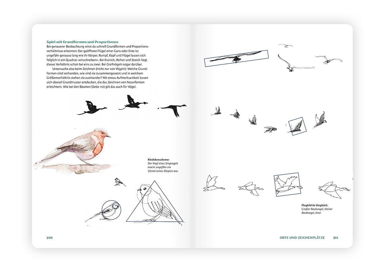 Bild: 9783874399784 | Ins Freie! Draußen zeichnen | Tilo Schneider | Taschenbuch | 256 S.