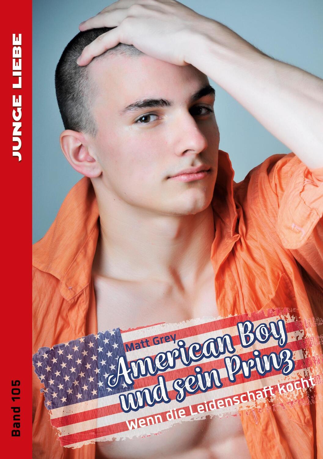 Cover: 9783863619152 | American Boy und sein Prinz 5 | Wenn die Leidenschaft kocht | Grey