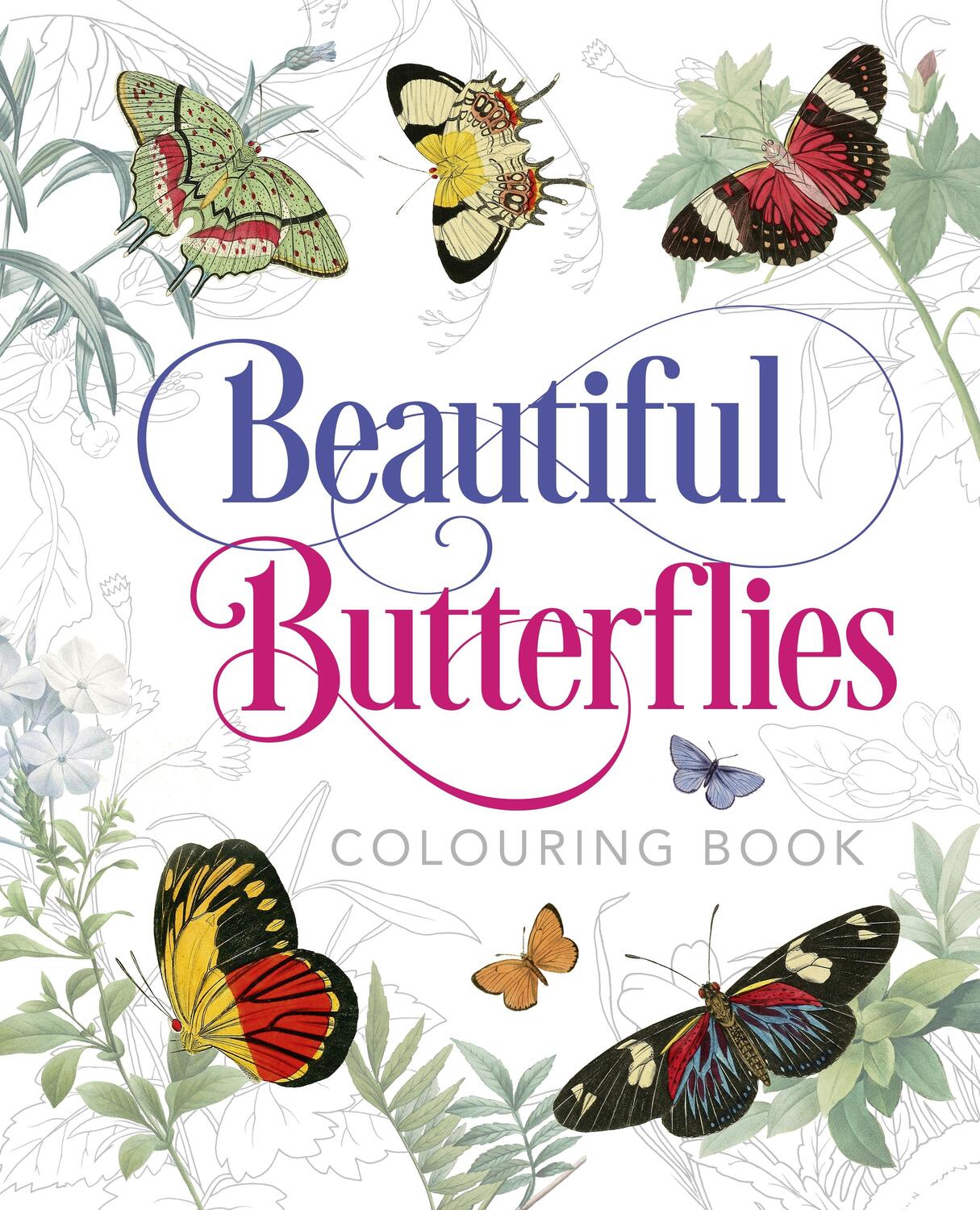 Cover: 9781789502701 | Gray, P: Beautiful Butterflies Colouring Book | Peter Gray | Buch