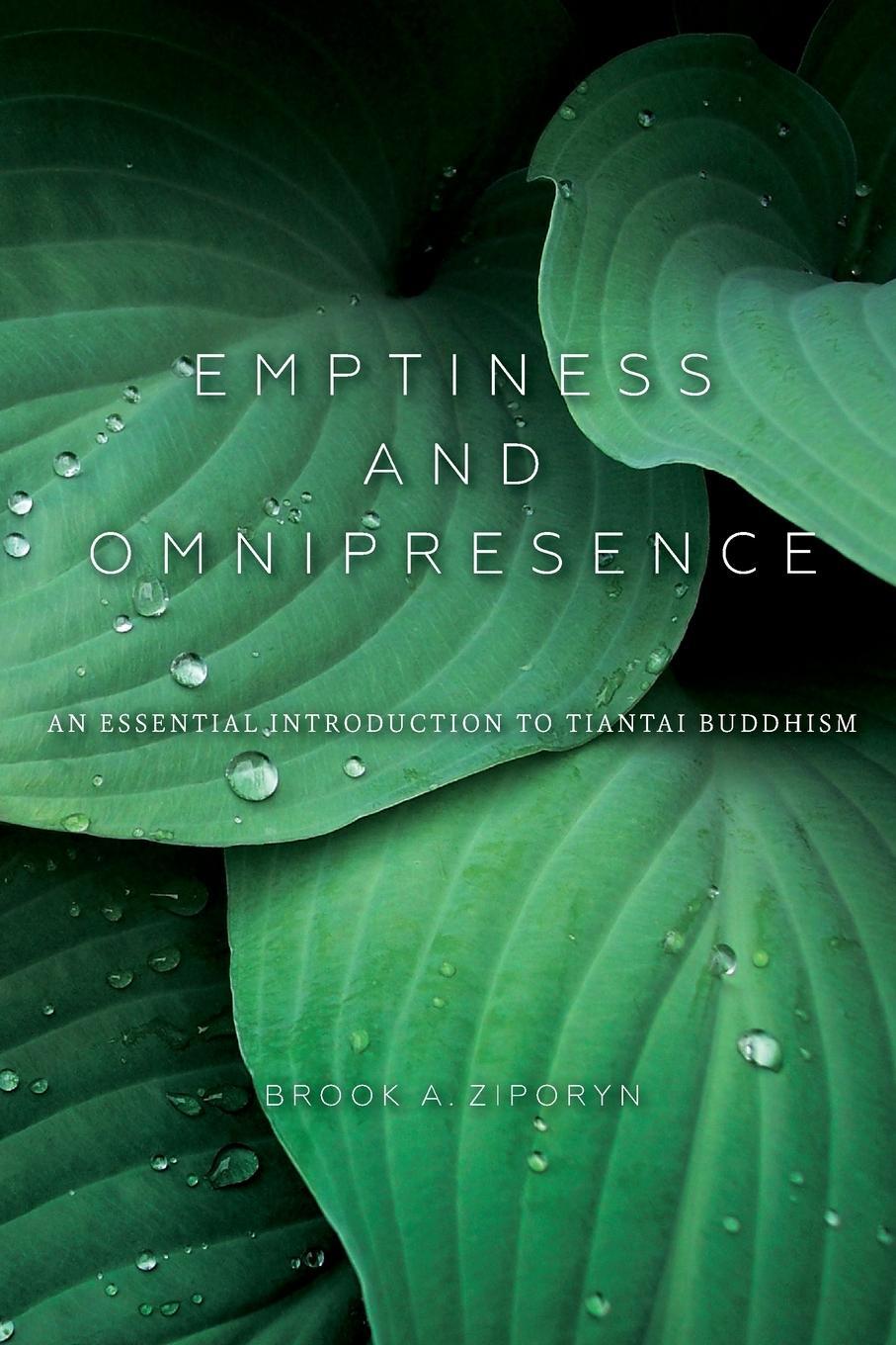 Cover: 9780253021120 | Emptiness and Omnipresence | Brook A Ziporyn | Taschenbuch | Paperback