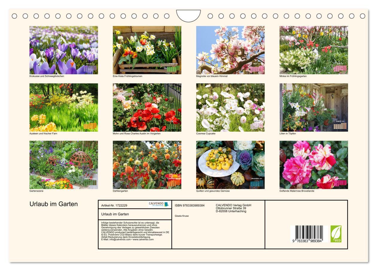 Bild: 9783383989384 | Urlaub im Garten (Wandkalender 2025 DIN A4 quer), CALVENDO...