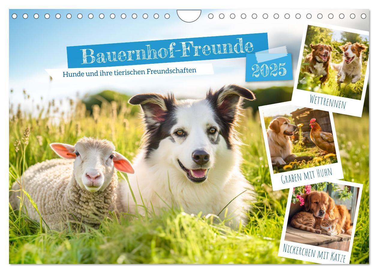 Cover: 9783383781025 | Bauernhof-Freunde - Hunde und ihre tierischen Freundschaften...
