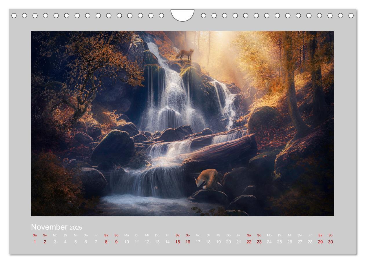 Bild: 9783383914010 | Wald der Märchen (Wandkalender 2025 DIN A4 quer), CALVENDO...