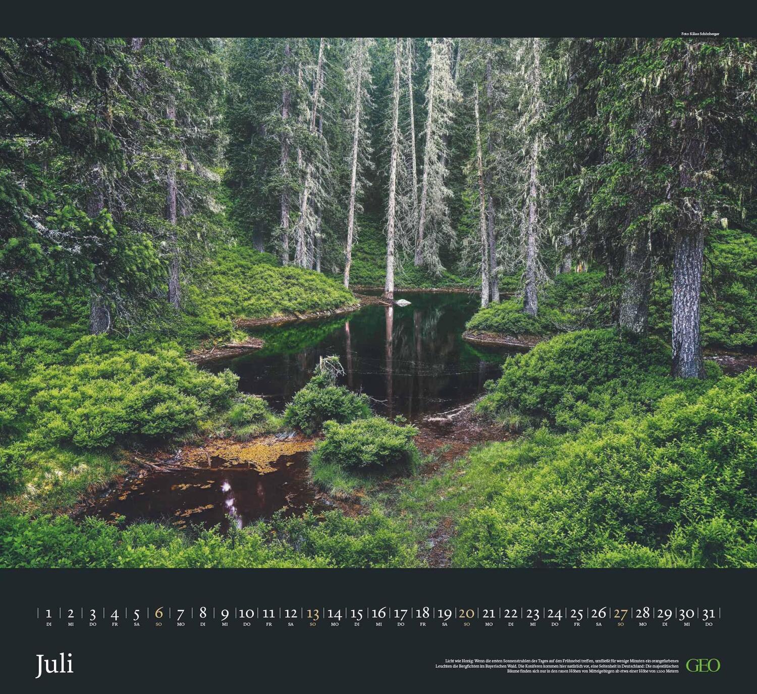 Bild: 4002725988683 | GEO Kalender: Sehnsucht Wald 2025 - Wand-Kalender - Natur-Kalender...