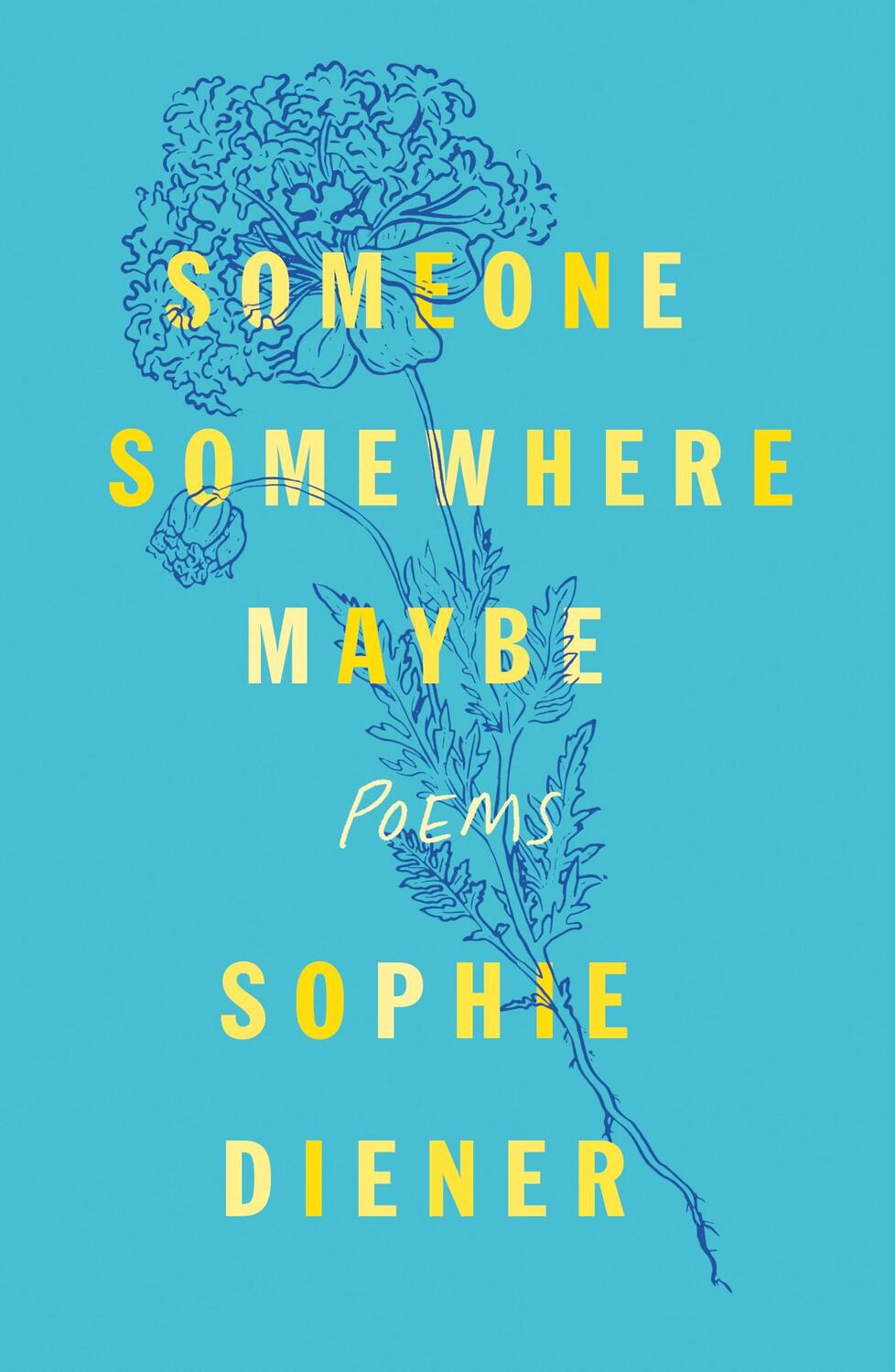 Cover: 9781250892713 | Someone Somewhere Maybe | Poems | Sophie Diener | Taschenbuch | 2023