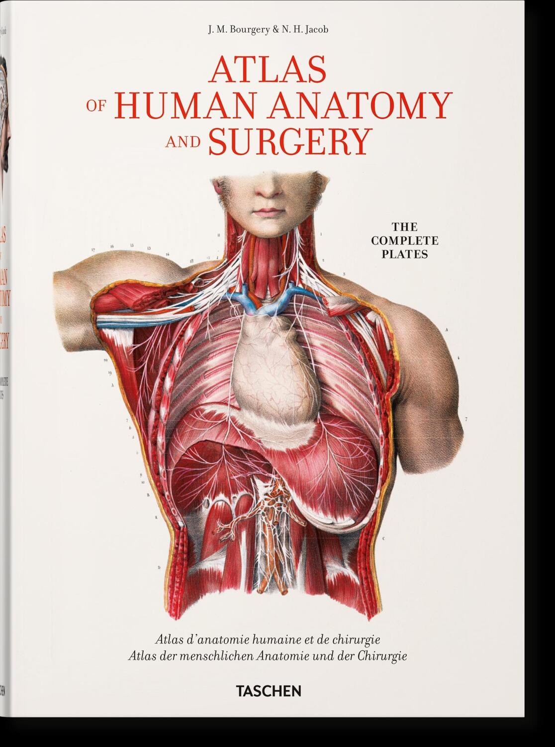 Cover: 9783836568982 | Bourgery. Atlas of Human Anatomy and Surgery | Minor (u. a.) | Buch