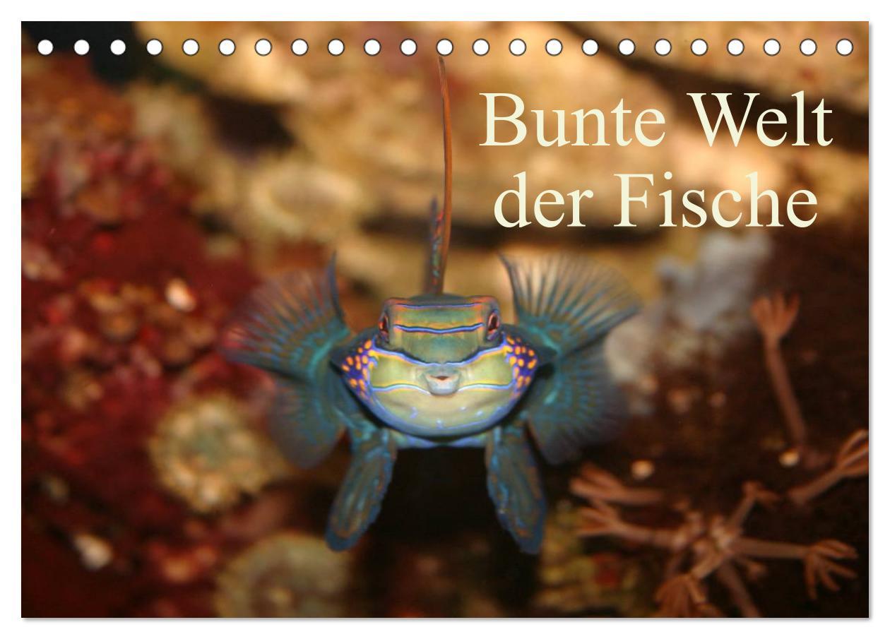 Cover: 9783435756841 | Bunte Welt der Fische (Tischkalender 2025 DIN A5 quer), CALVENDO...