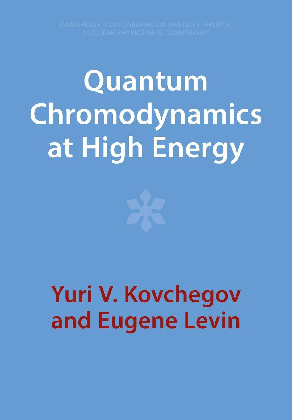 Cover: 9781009291422 | Quantum Chromodynamics at High Energy | Eugene Levin | Taschenbuch