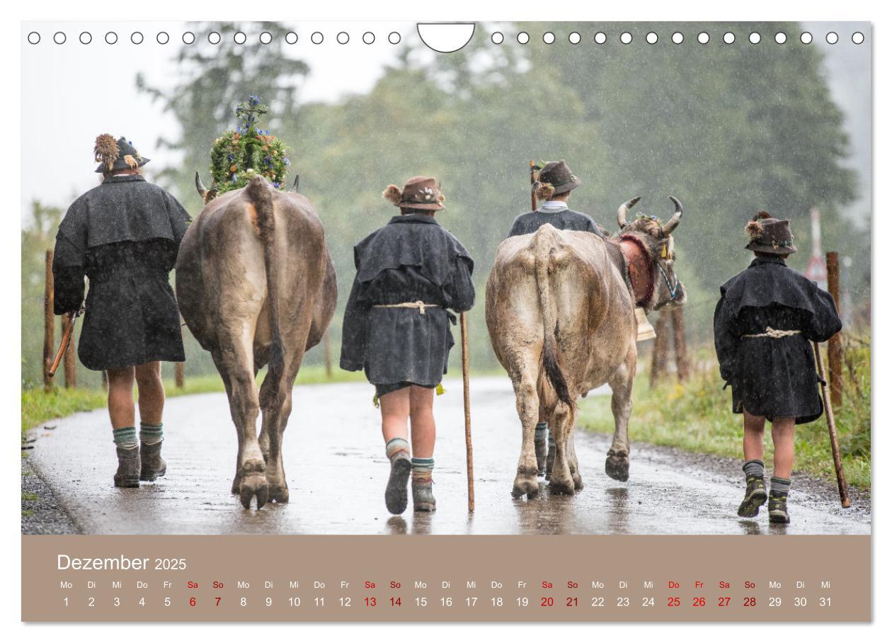 Bild: 9783383966804 | Heimweh Allgäu 2025 (Wandkalender 2025 DIN A4 quer), CALVENDO...