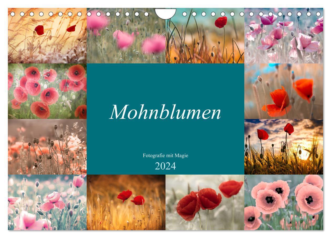 Cover: 9783675569263 | Mohnblumen - Fotografie mit Magie (Wandkalender 2024 DIN A4 quer),...