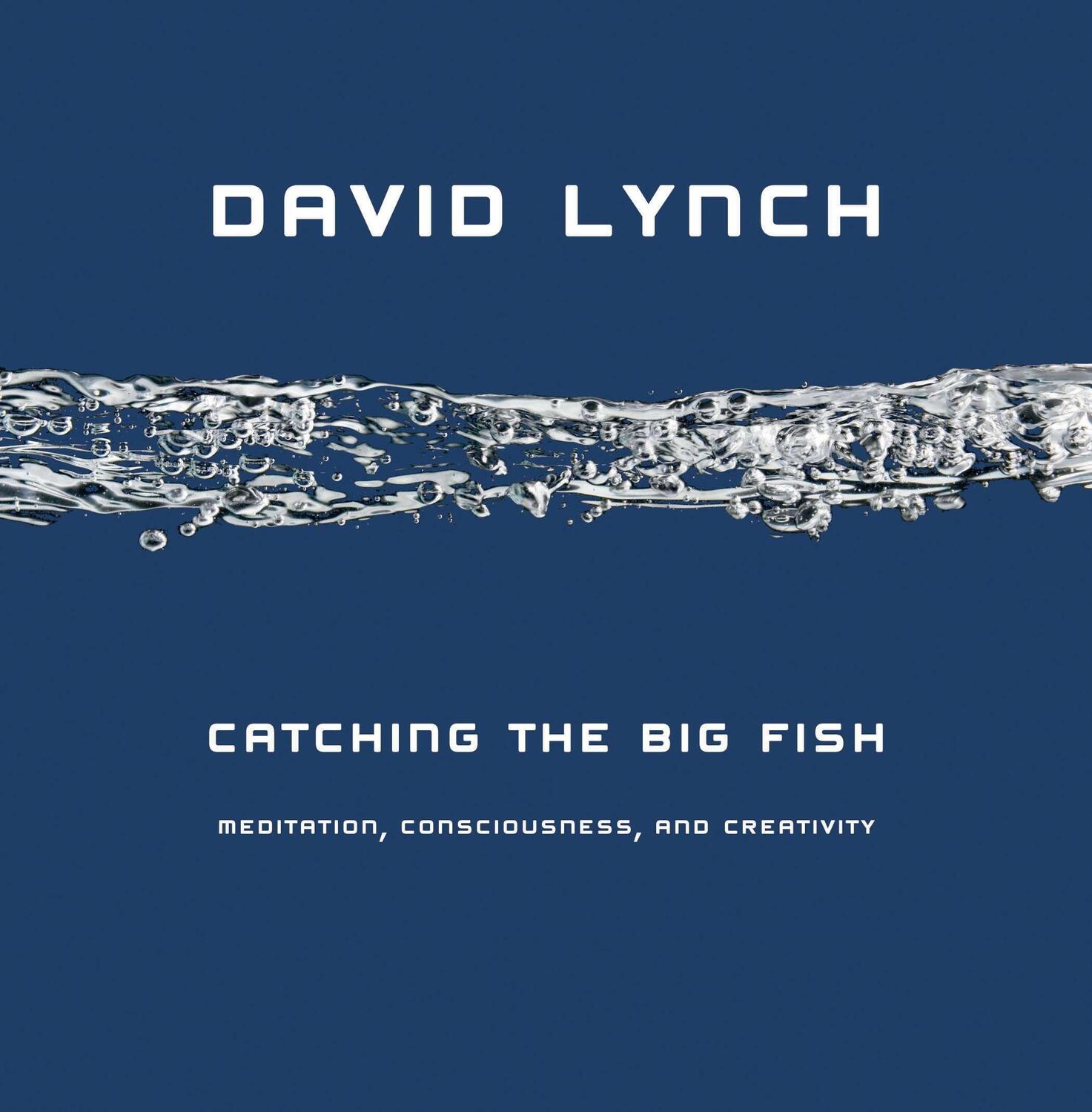 Cover: 9781585425402 | Catching the Big Fish: Meditation, Consciousness, and Creativity